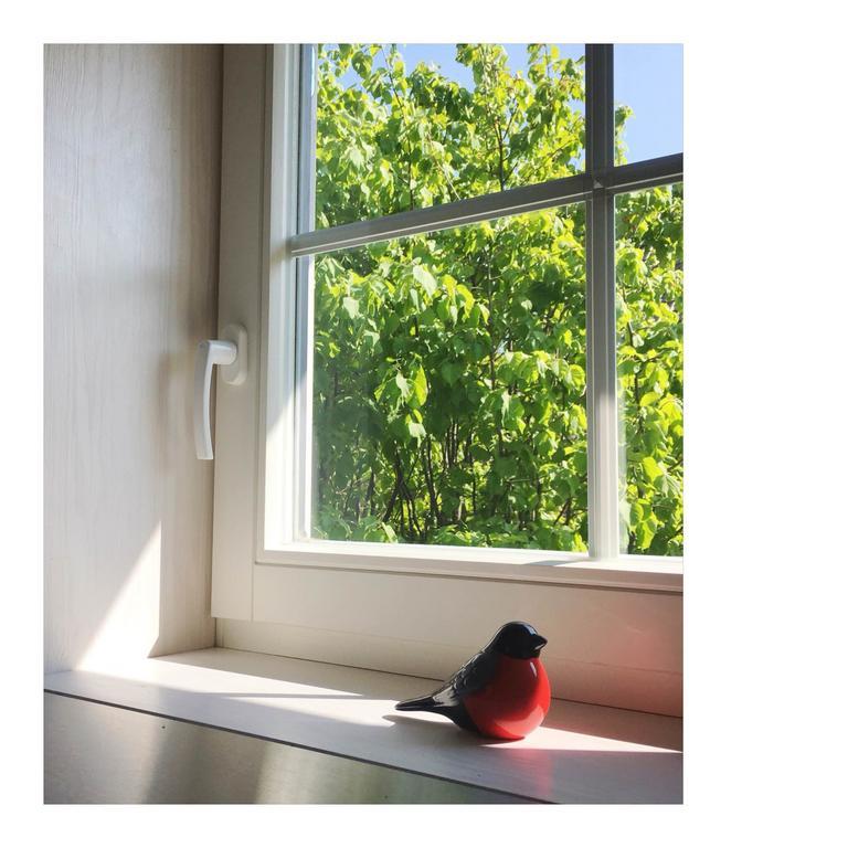 Cardinalis House Apartment ปาวีลอสตา ภายนอก รูปภาพ